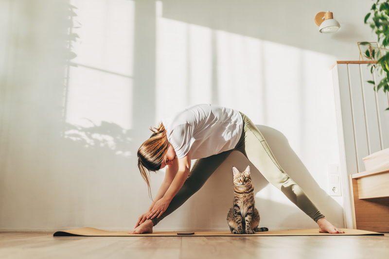 Morning Yoga Stretches